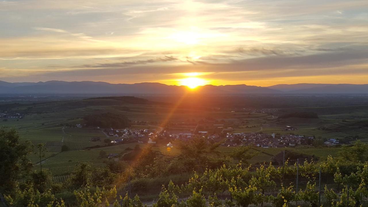 Gästehaus Casa Luna - Paradiesische Ferienwohnungen am Kaiserstuhl! Bischoffingen Exterior foto